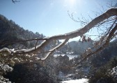 img00059