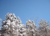 img00072