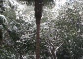dsc07338