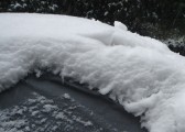 dsc07348