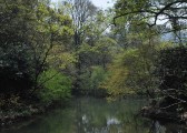 dsc_1867