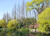 dsc_2003