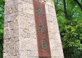 zhiwuyuan-09