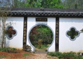 zhiwuyuan-10
