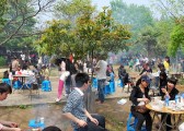 zhiwuyuan-19