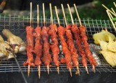 zhiwuyuan-30