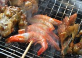 zhiwuyuan-36