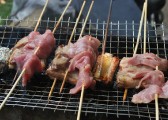 zhiwuyuan-38