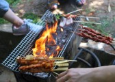 zhiwuyuan-40