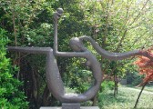 zhiwuyuan-46